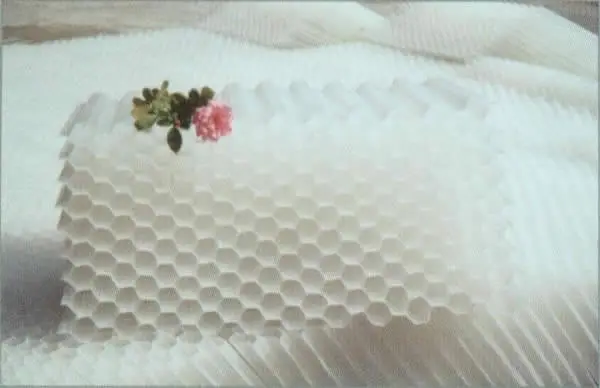 六角蜂窝斜管填料